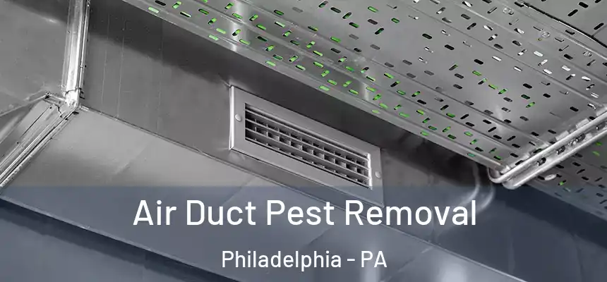  Air Duct Pest Removal Philadelphia - PA