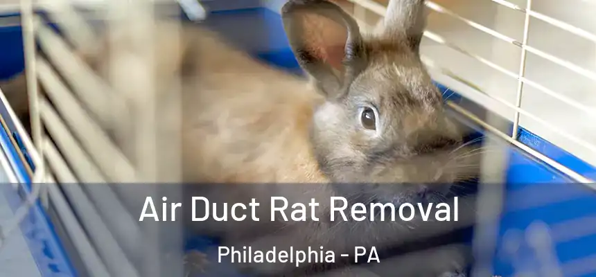  Air Duct Rat Removal Philadelphia - PA