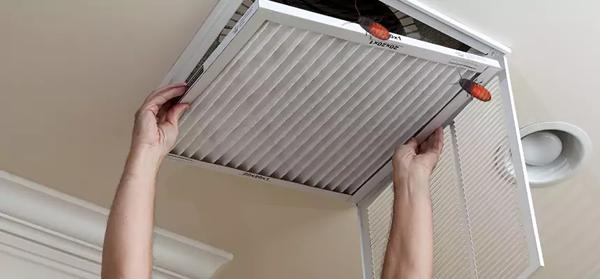 Our Insect Removal from Air Ducts Services in Philadelphia, PA