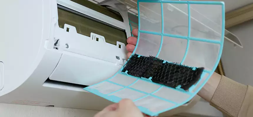 Gentle Ductwork Odor-Control Pet Dander Duct Cleaning in Philadelphia, PA