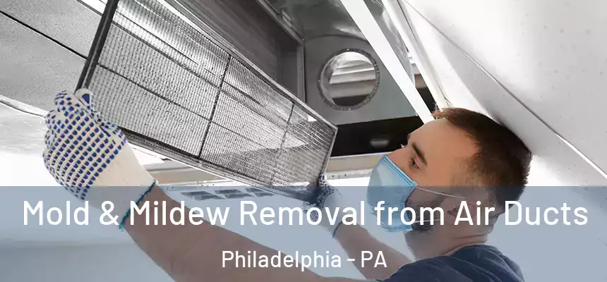  Mold & Mildew Removal from Air Ducts Philadelphia - PA