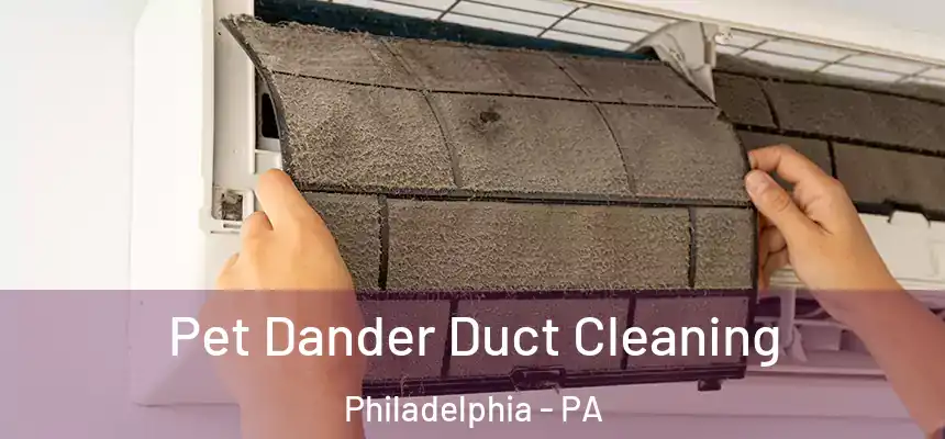  Pet Dander Duct Cleaning Philadelphia - PA