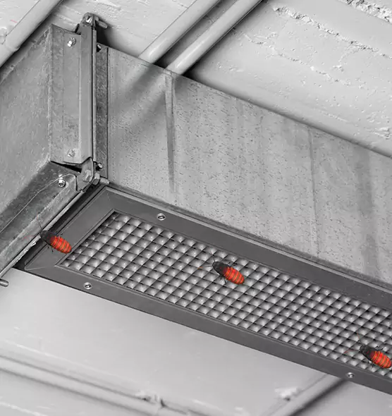 About Air Duct Cockroach Removal in Philadelphia, PA