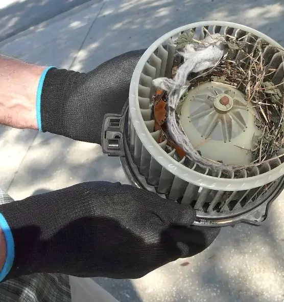 About Air Duct Rat Removal in Philadelphia, PA