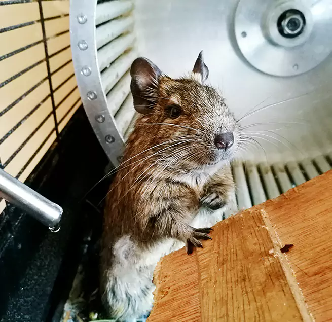 Why Homeowners & Businesses Trust Us Philadelphia, PA