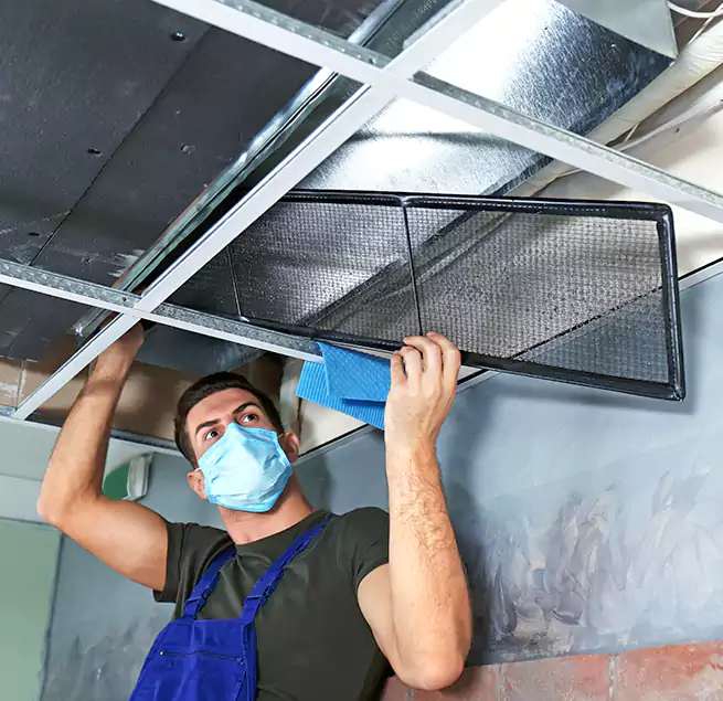 Why Homeowners Businesses Trust Us in Philadelphia, PA