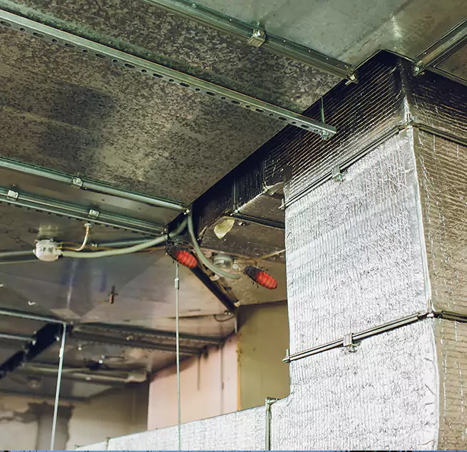 Why Homeowners & Businesses Trust Us Philadelphia, PA?