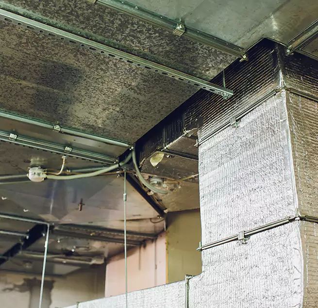 Why Homeowners & Businesses Trust Us in Philadelphia, PA?